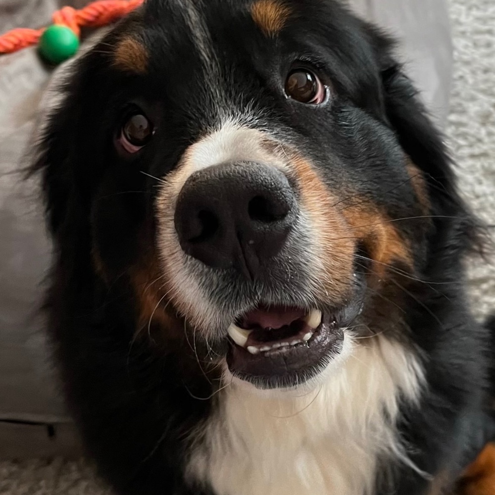 Meet your Posher, Beth